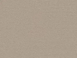 Koop Vandaag Tapijt Henderson Beige 10020256