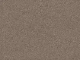 Populair Tapijt Maine Taupe 10020269