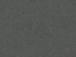 Flitsaanbieding Tapijt Maine Grijs 10020262