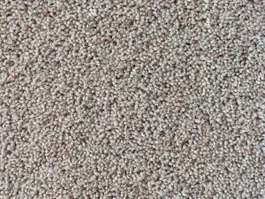 Exclusieve Aanbieding Tapijt Noblesse Wool 10023084