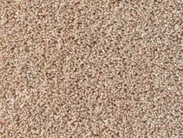 Tapijt Noblesse Wool 10023083 Nu Kopen