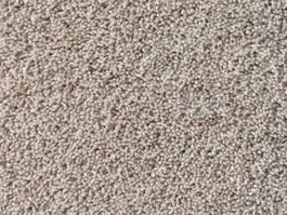 Rechtstreeks Van De Fabrikant Tapijt Noblesse Wool 10023082