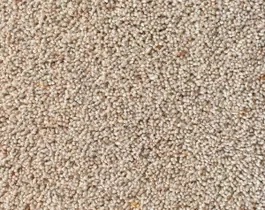Tapijt Noblesse Wool 10023081 Superprijs