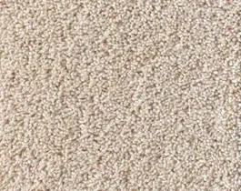 Must-Have Tapijt Noblesse Wool 10023079