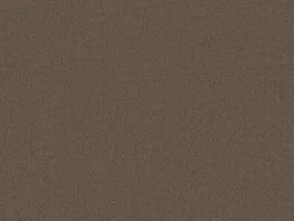 Tapijt Aberdeen Bruin 10021598 Tijdelijk Beschikbaar
