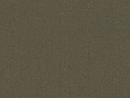 Merkproduct Tapijt Aberdeen Groen 10021601