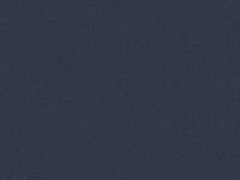 Exclusieve Aanbieding Tapijt Aberdeen Blauw 10021599