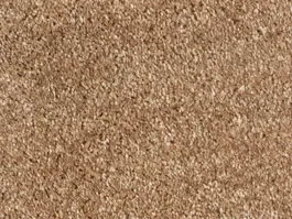 Koop Vandaag Tapijt Sonora Silky 2073 10024411