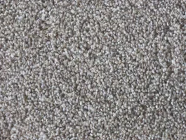 Tapijt Interfloor Sensations 816 10024251 Tijdelijk Beschikbaar