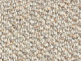 Tapijt Lush 10025007 Dagaanbieding