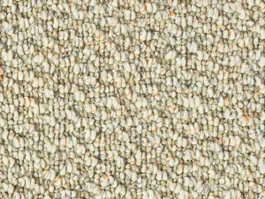 Tapijt Lush 10025010 Direct Beschikbaar