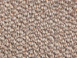 Tapijt Lush 10025012 Direct Beschikbaar