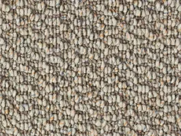 Snelle Levering Tapijt Lush 10025017