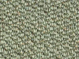 Tapijt Lush 10025015 Actieprijs