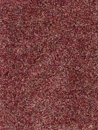Vloerkleed Legacy 10025556 Speciale Aanbieding