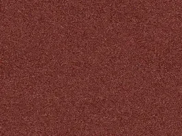 Seizoensaanbieding Tapijt Planet 10024861