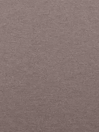 Gordijn Moon olifant dim out 10023811 Goedkoop