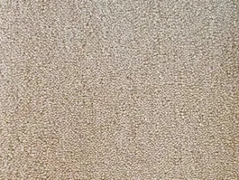 Veilige Betaling Tapijt Da Vinci 391 10025888