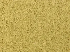 Gecertificeerd Tapijt Desso Asteranne kiwi 10022903