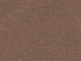 Tapijt Planet 10024848 Exclusieve Aanbieding
