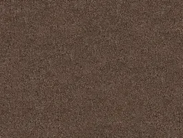 Snelle Levering Tapijt Planet 10024856