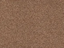 Premium Tapijt Planet 10024863