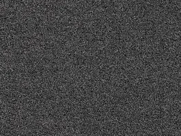 Veilige Betaling Tapijt Planet 10024866