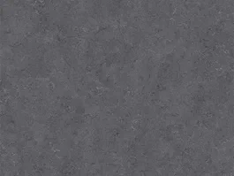Rechtstreeks Van De Fabrikant Vinyl Dynamic Lino-M 347 10028159