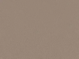 Snelle Levering Tapijt Maple Beige 10027131