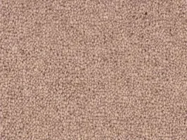 Tapijt Ceres wool 404 10028436 Gecertificeerd