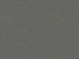 Tapijt Myriade canvas Grijs 10027024 Alleen Vandaag