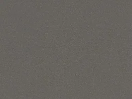 Betaalbaar Tapijt Myriade Plain Grijs 10027006