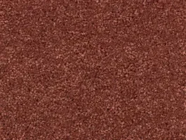 Tapijt Ceres wool 441 10028450 Flitsaanbieding