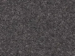 Goedkoop Tapijt Ceres wool 489 10028458