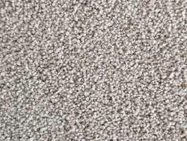 Rechtstreeks Van De Fabrikant Tapijt Elba midden beige 10026465