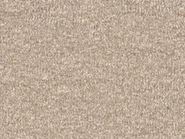 Tijdelijk Beschikbaar Tapijt Naarden 2.0 Beige 10021571