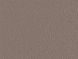 Tapijt Stream Dion Taupe 10029911 Premium