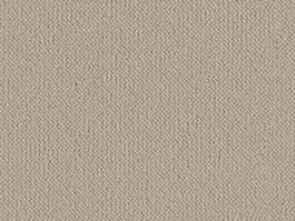 Express Levering Tapijt Stream Dion Beige 10029910