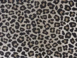 Betrouwbaar Deurmat Ambiance Safari beige 10030459