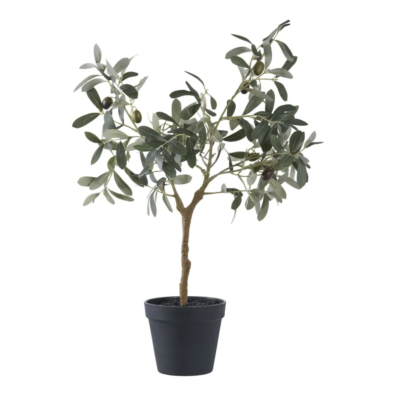 Weekendaanbieding Olive Tree