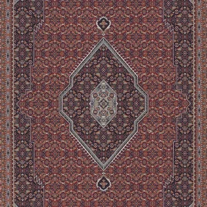 Vloerkleed Derbe 72220 - 200 x 300 cm Aanbieding