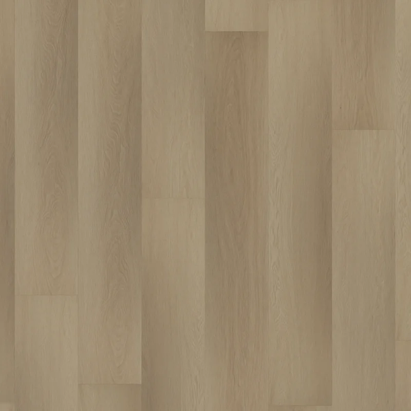 Alleen Vandaag Room 5 Planks Charming Suite