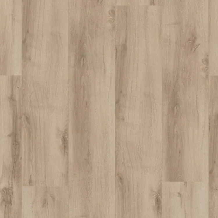 Hoomline Royal XL V2 4926 Sella Lage Kosten