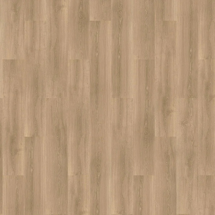 Koop Online mFLOR River Oak 63029 Tarn