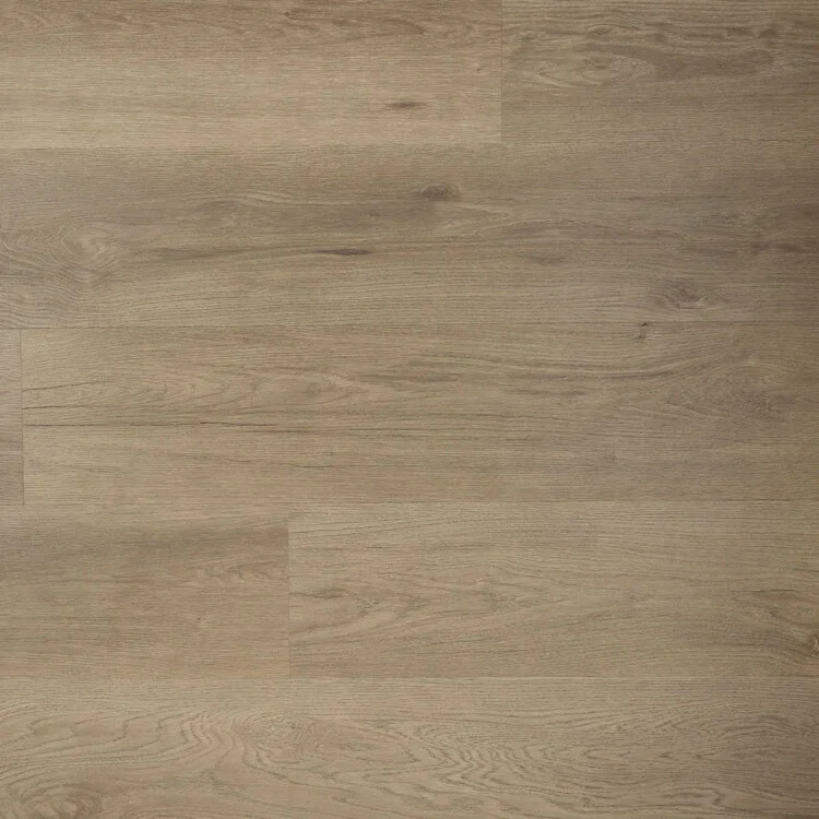 Douwes Dekker Ambitieus Riante Plank Spekkoek Direct Beschikbaar