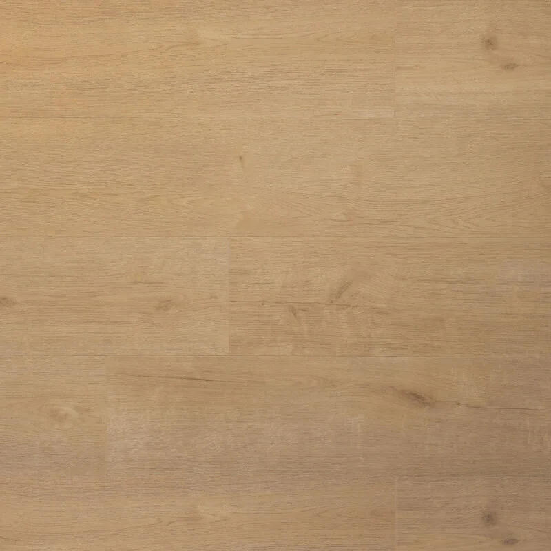 Douwes Dekker Praktisch Klik Biscuit Uitverkoop