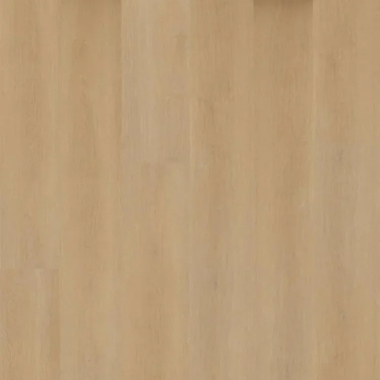 Hoomline Prestige Dryback Plank 5052 Cannes Flitsaanbieding