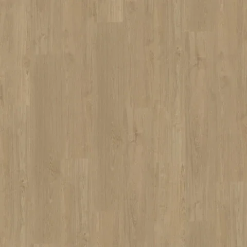 Flitsaanbieding Belakos Portico Rigid Click 540