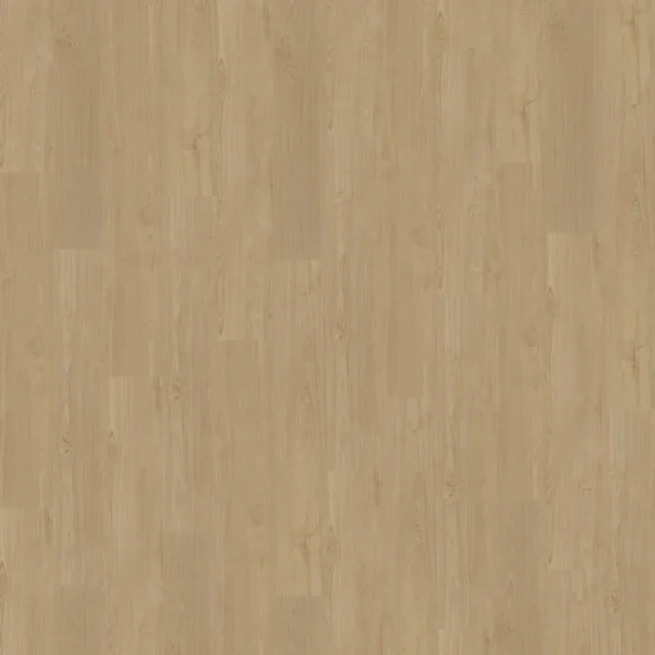 Belakos Portico Rigid Click 560 Merkproduct
