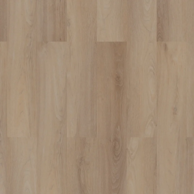 Room 5 Planks Click Royal Champagne Koopje